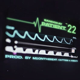 Album cover of Patient