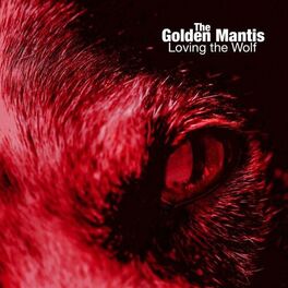 Album cover of Loving the Wolf