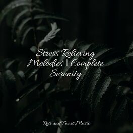 Album cover of Stress Relieving Melodies | Complete Serenity