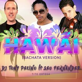 Album cover of Hawái (Bachata Version)