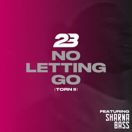 Album cover of No Letting Go (Torn 2)