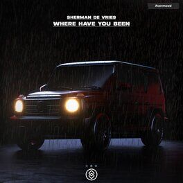 Album cover of Where Have You Been