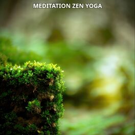 Album cover of Meditation Zen Yoga Music No. 3