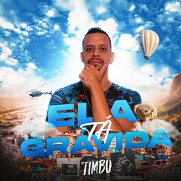 Album cover of Ela Tá Grávida