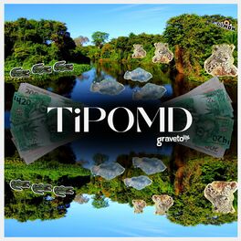 Album cover of Tipomd