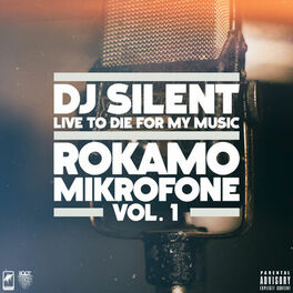 Album cover of Rokamo Mikrofone