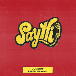 Album cover of Say Hi