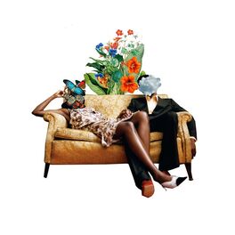 Album cover of Peaceful Day