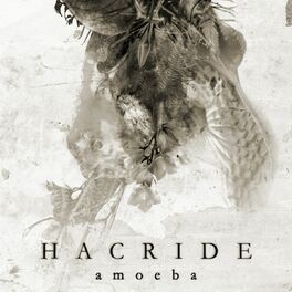 Album cover of Amoeba