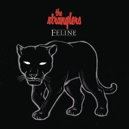 Album picture of Feline