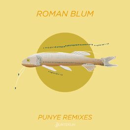 Album cover of Punye Remixes