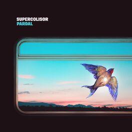 Album cover of Pardal