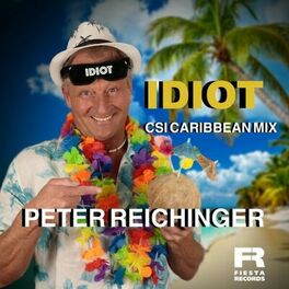 Album cover of Idiot (CSI Caribbean Mix)