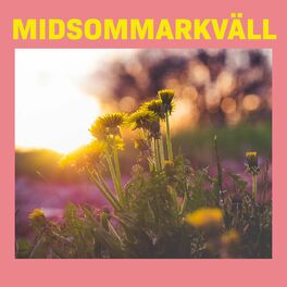 Album cover of Midsommarkväll