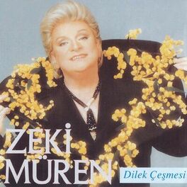 Album cover of Dilek Çeşmesi