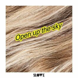 Album cover of Open Up the Sky