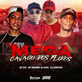 Album cover of Mega Cavaco dos Fluxos