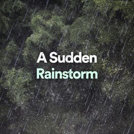 Album cover of A Sudden Rainstorm