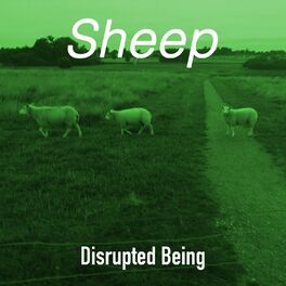 Album cover of Sheep