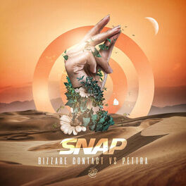 Album cover of Snap