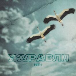 Album cover of Журавли