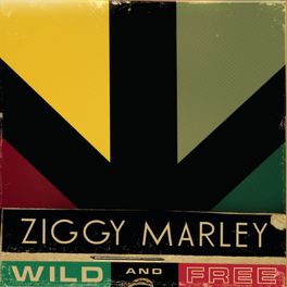 Album cover of Wild And Free