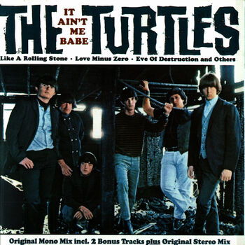 The Turtles Albums, Songs - Discography - Album of The Year