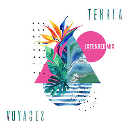 Album cover of Voyages (Extended Mix)