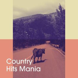 Album cover of Country Hits Mania