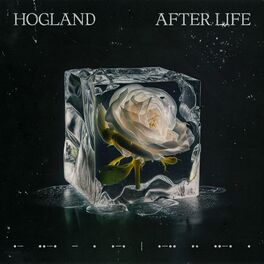 Album cover of After Life