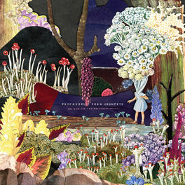 Psychedelic Porn Crumpets: album, canzoni, playlist | Ascolta su ...