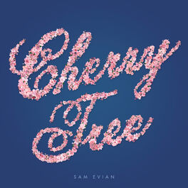 Album cover of Cherry Tree b/w Roses