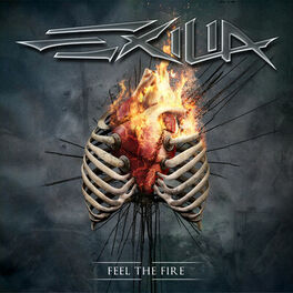Album cover of Feel the Fire