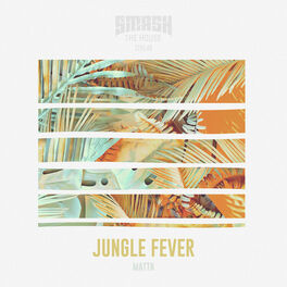 Album cover of Jungle Fever