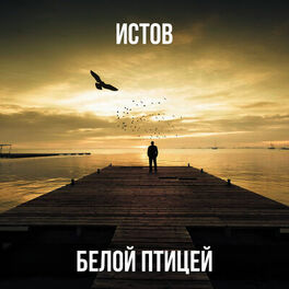 Album cover of Белой птицей