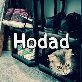 Album cover of Hodad