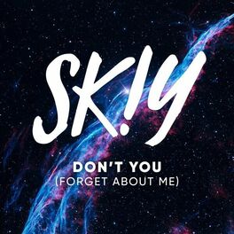 Album cover of Don't You (Forget About Me)