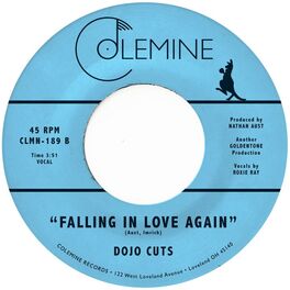 Album cover of Falling In Love Again