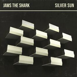 Album cover of Silver Sun