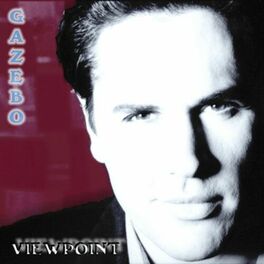 Album cover of Viewpoint