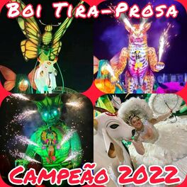 Album cover of Boi Tira-Prosa - Campeão 2022