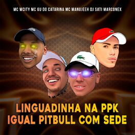 Album cover of Linguadinha na PPK Igual Pitbull Com Sede