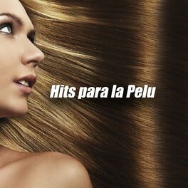 Album cover of Hits para la Pelu