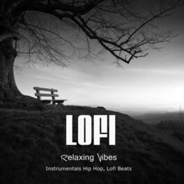 Album cover of RELAXING VIBES - Instrumentals Hip Hop, Lofi Beats