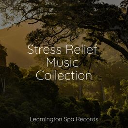Album cover of Stress Relief Music Collection
