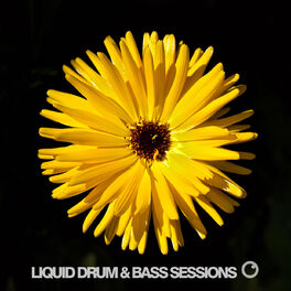 Album cover of Liquid Drum and Bass Sessions 2019 Vol 1