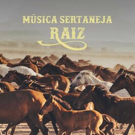 Album cover of Música Sertaneja Raiz