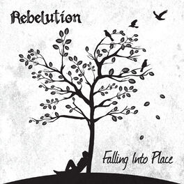 Album cover of Falling into Place