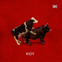 Album cover of Hoy