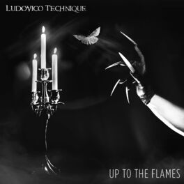 Album cover of Up to the Flames
